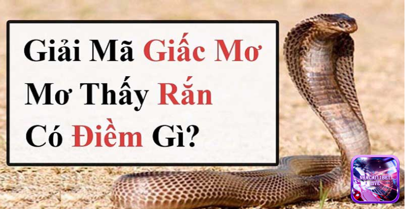 Nằm mơ thấy rắn báo hiệu điềm gì?